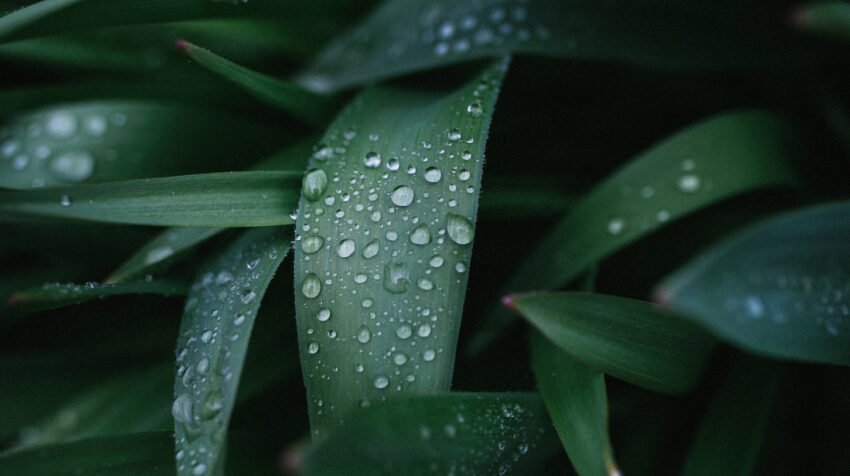 About Us - Tion Renewables